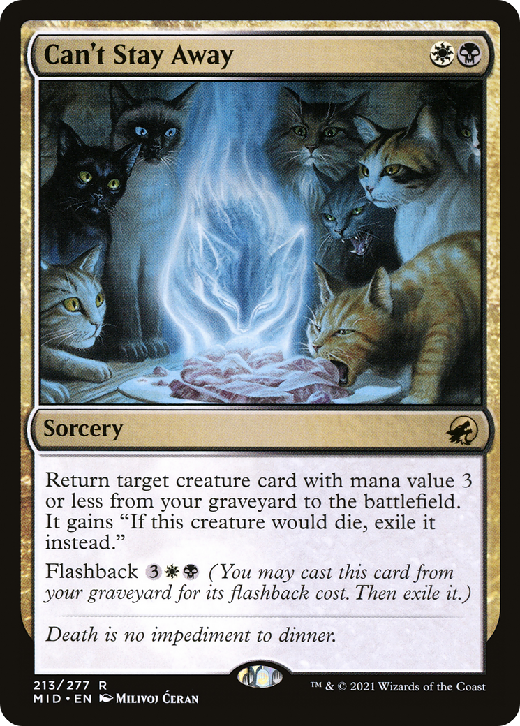 syncbase:45631655936047:1784369302