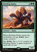 syncbase:45632162955311:1784324516