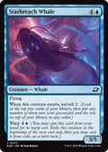 syncbase:45631636865071:1784318697