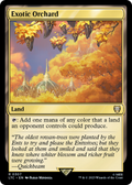 syncbase:45631623561263:1784318496