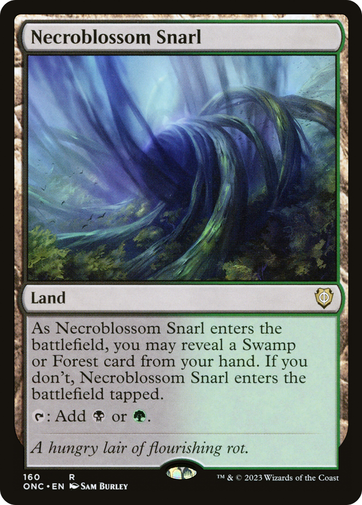 syncbase:45684935622703:1785178706