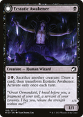 syncbase:45632180748335:1784324767