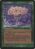 syncbase:45631936823343:1784322021
